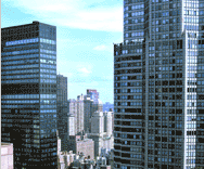 business insurance